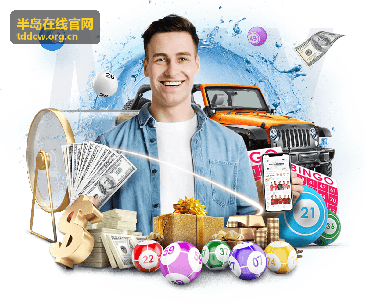 半岛在线官网实用服务专题卡片